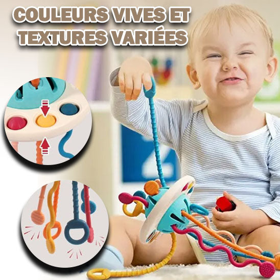 Jouet de Développement Sensoriel